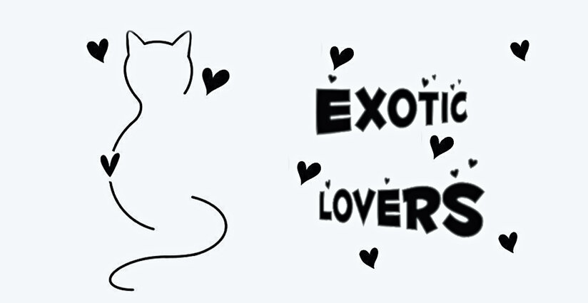 logo 2026 exotic lovers da usare.jpeg