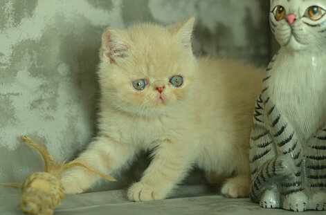 _dsc6889.jpeg