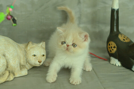 _dsc7039.jpeg