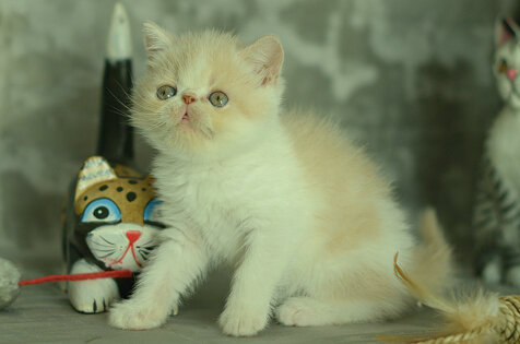 _dsc6985.jpeg