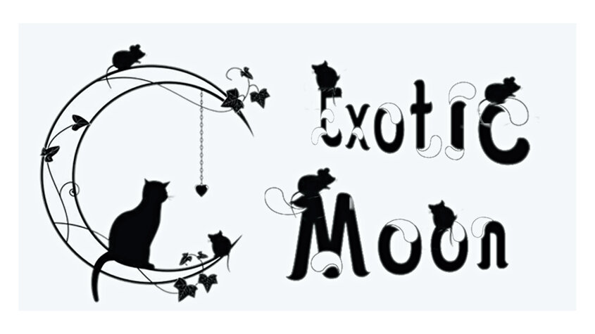 logo definitivo exotic moon 16 9.jpeg