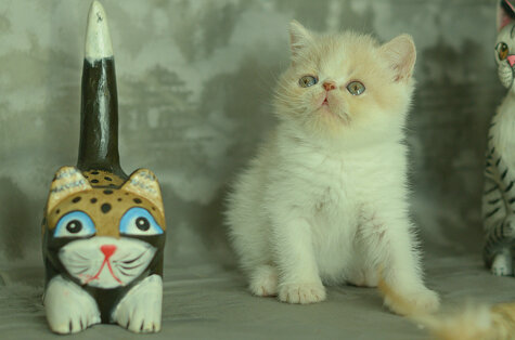 _dsc6971.jpeg