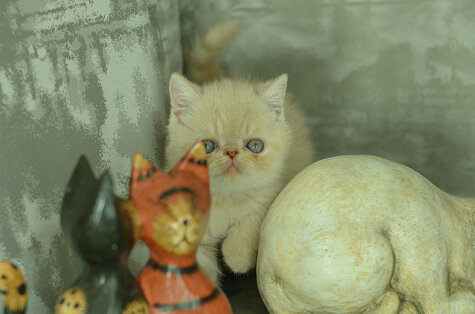 _dsc6944.jpeg