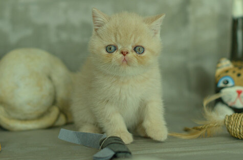 _dsc6929.jpeg