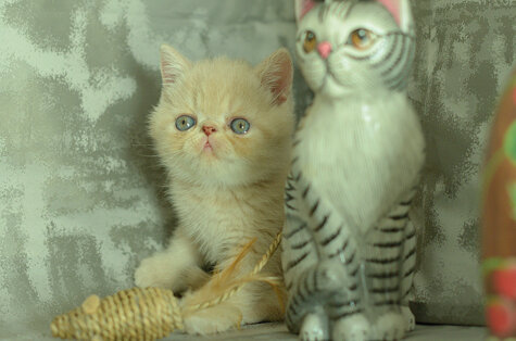 _dsc6900.jpeg