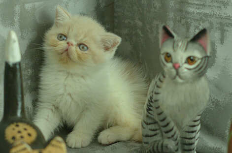 _dsc7202.jpeg