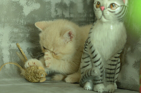 _dsc6894.jpeg