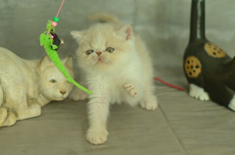 _dsc7038.jpeg