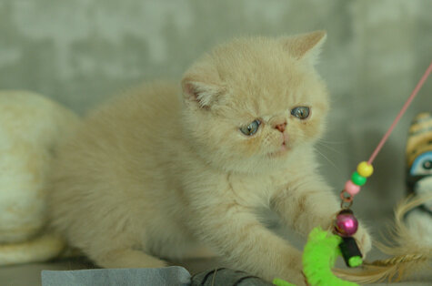 _dsc6934.jpeg