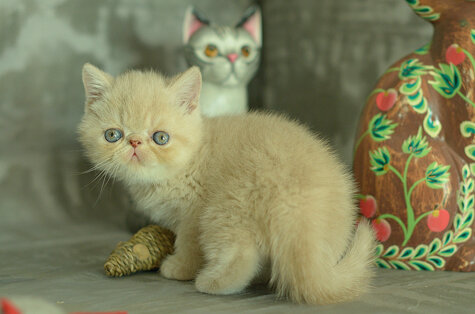 _dsc6848.jpeg