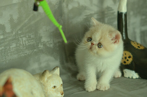 _dsc7048.jpeg