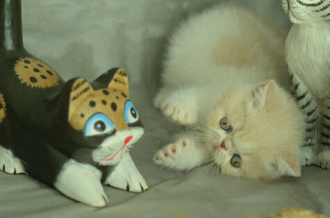 _dsc7072.jpeg