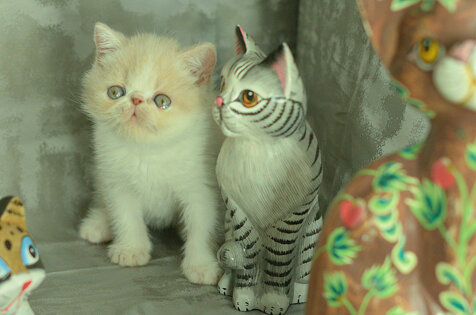 _dsc7074.jpeg