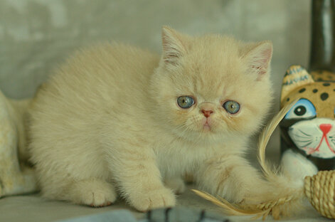 _dsc6924.jpeg