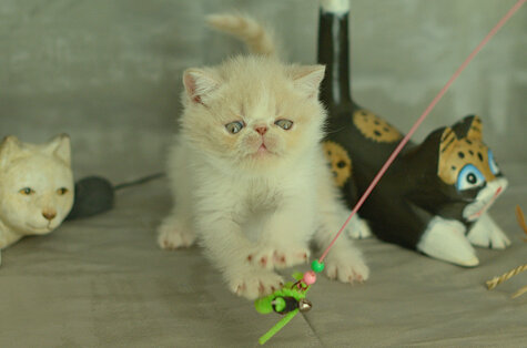 _dsc7021.jpeg