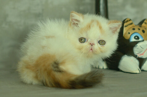 _dsc7077.jpeg