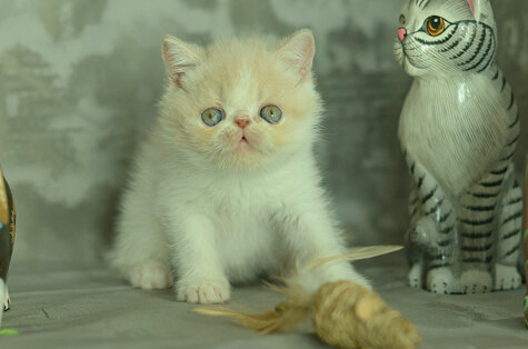 _dsc7005.jpeg