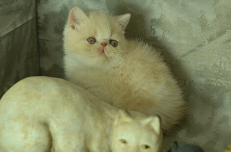 _dsc6997.jpeg
