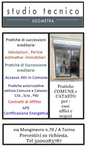 scheda geometra piliego.jpeg