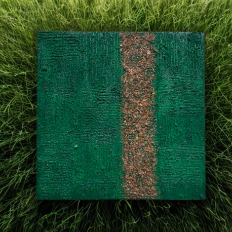 quadro terra su tappeto erba