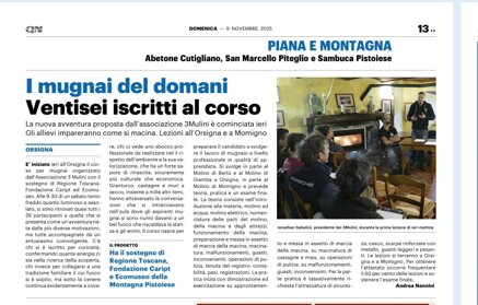 la nazione 9 novembre 2025.jpeg