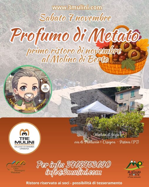 profumo di metato.jpeg