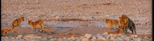 2261_namibia_11-08-26.jpeg