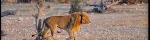 2275_namibia_11-08-26.jpeg