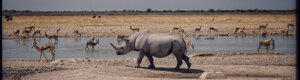 2349_namibia_11-08-26.jpeg
