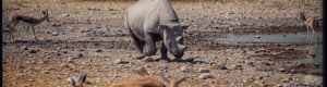 2336_namibia_11-08-26.jpeg