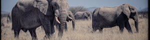 2370_namibia_11-08-26.jpeg