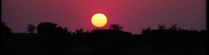 1910_namibia_04-08-26.jpeg