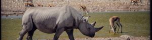 2340_namibia_11-08-26.jpeg