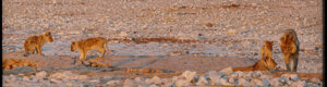 2260_namibia_11-08-26.jpeg