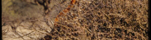 2463_namibia_13-08-26.jpeg