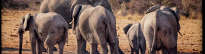 2434_namibia_12-08-26.jpeg