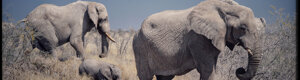2374_namibia_11-08-26.jpeg