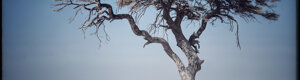 2406_namibia_12-08-26.jpeg