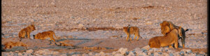 2263_namibia_11-08-26.jpeg