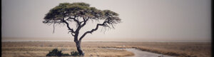 2407_namibia_12-08-26.jpeg