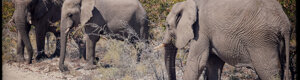 2413_namibia_12-08-26.jpeg