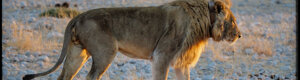 2286_namibia_11-08-26.jpeg