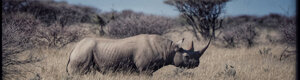 2312_namibia_11-08-26.jpeg
