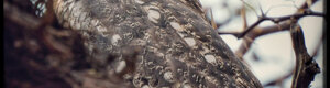 1880_namibia_04-08-26.jpeg