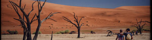 2021_namibia_06-08-26.jpeg