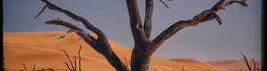 2017_namibia_06-08-26.jpeg