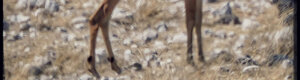 2327_namibia_11-08-26.jpeg