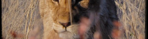 2301_namibia_11-08-26.jpeg