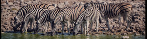 2378_namibia_11-08-26.jpeg