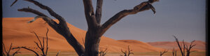 2019_namibia_06-08-26.jpeg